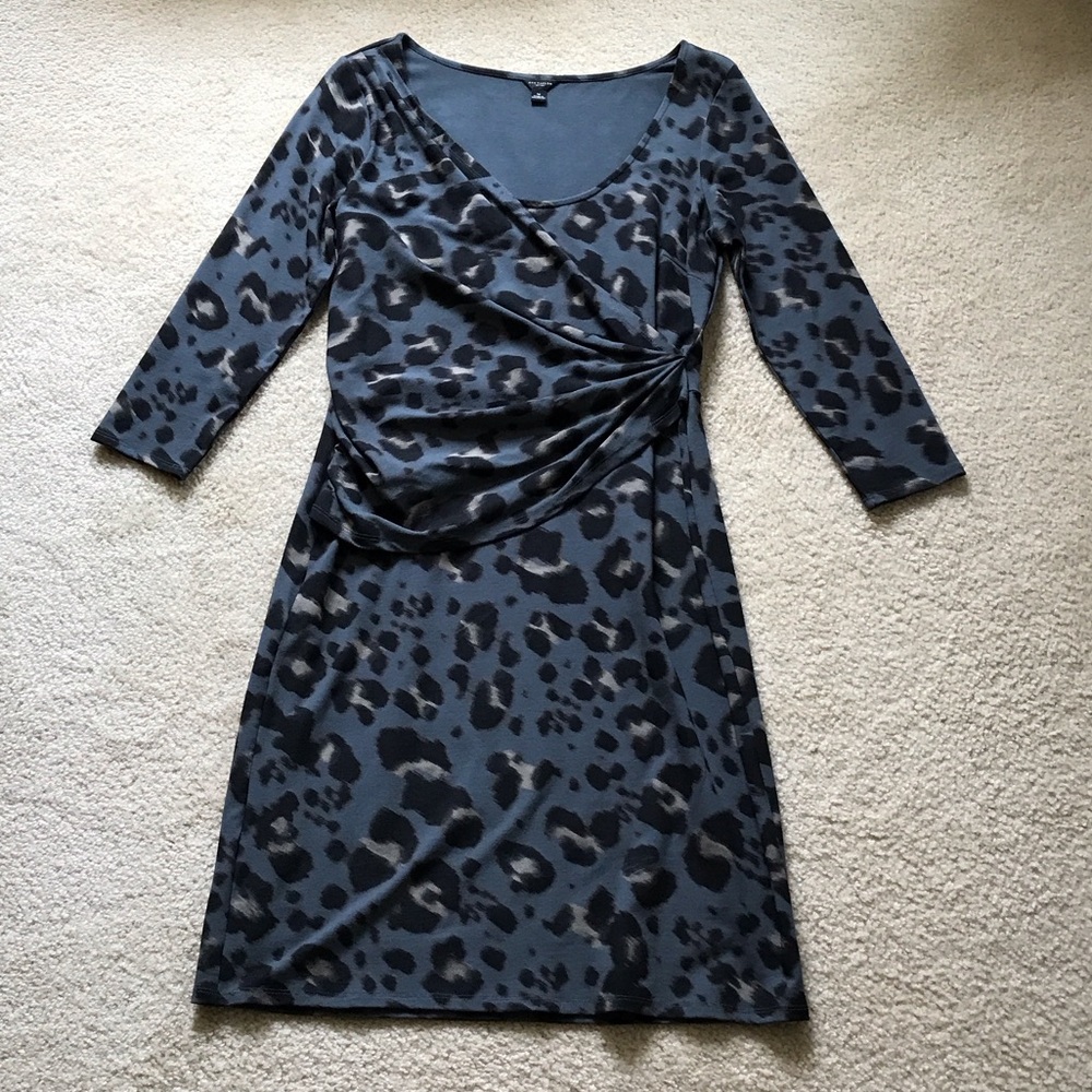 Animal Print dress